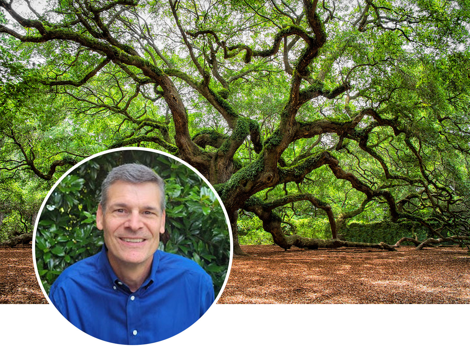 HMI president Doug Cowles